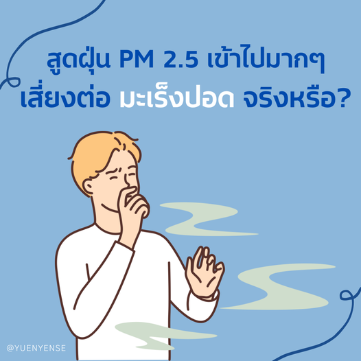 สูดฝุ่น pm 2.5 เข้าไปมากๆ